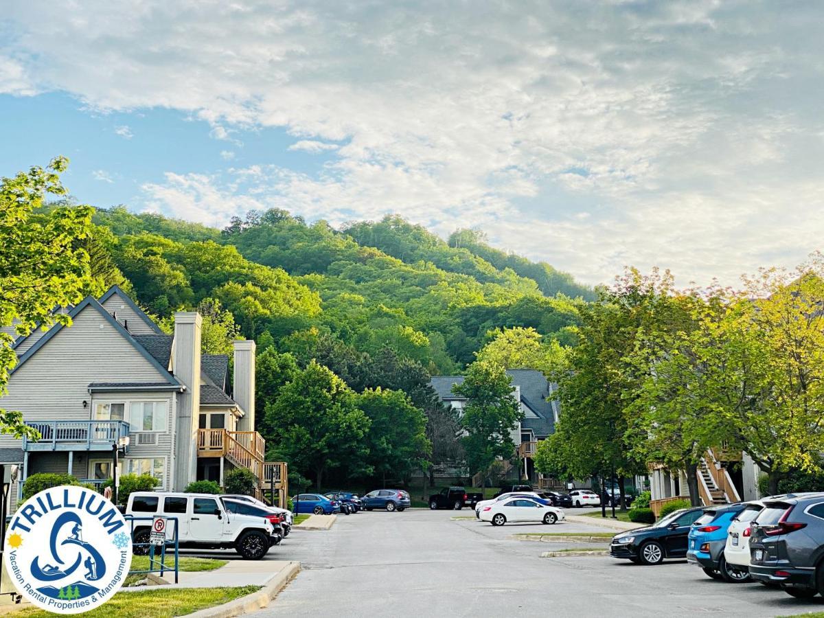 Cozy Studio Loft With 2 Baths Next To Slopes Blue Mountains Εξωτερικό φωτογραφία