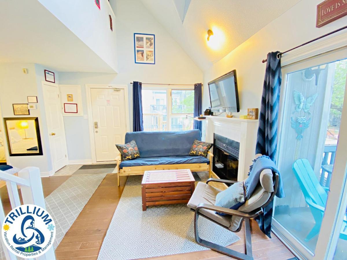 Cozy Studio Loft With 2 Baths Next To Slopes Blue Mountains Εξωτερικό φωτογραφία